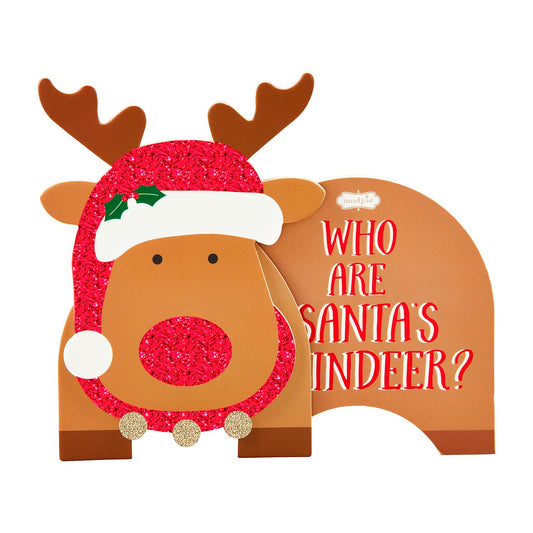 Mudpie Who Are Santa's Reindeer Book