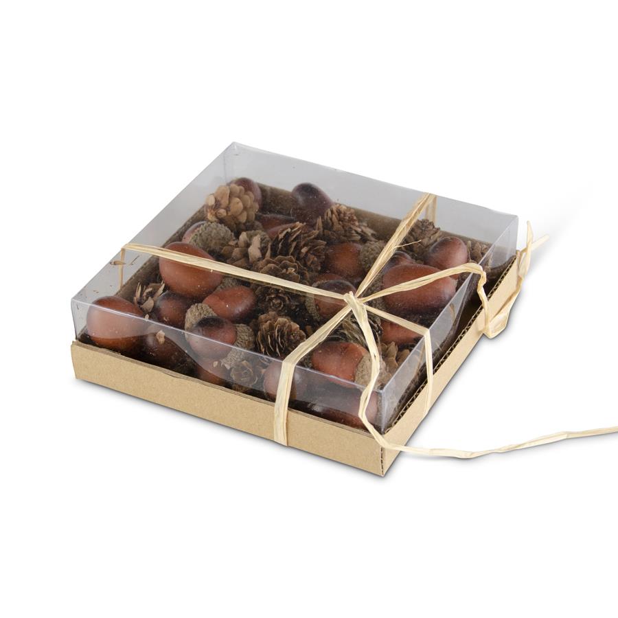 SALE Box of 24 Assorted Brown Acorns & Pinecones