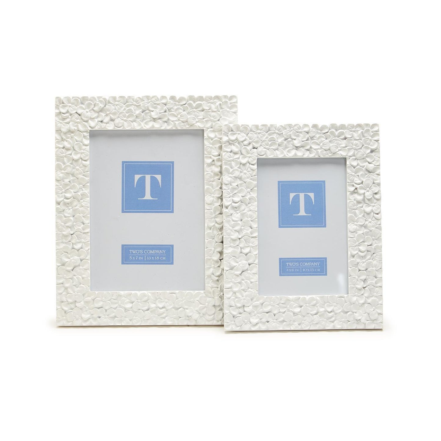 White Hydrangea Flower Photo Frame 5x7