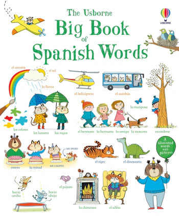 Usborne Big Book of Spanish Words