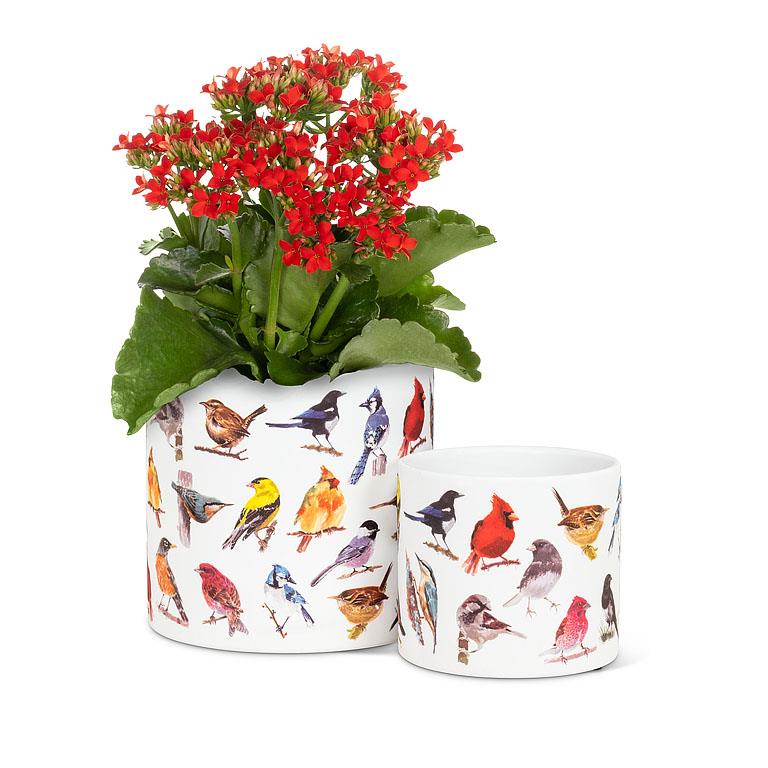 North American Birds Small Planter