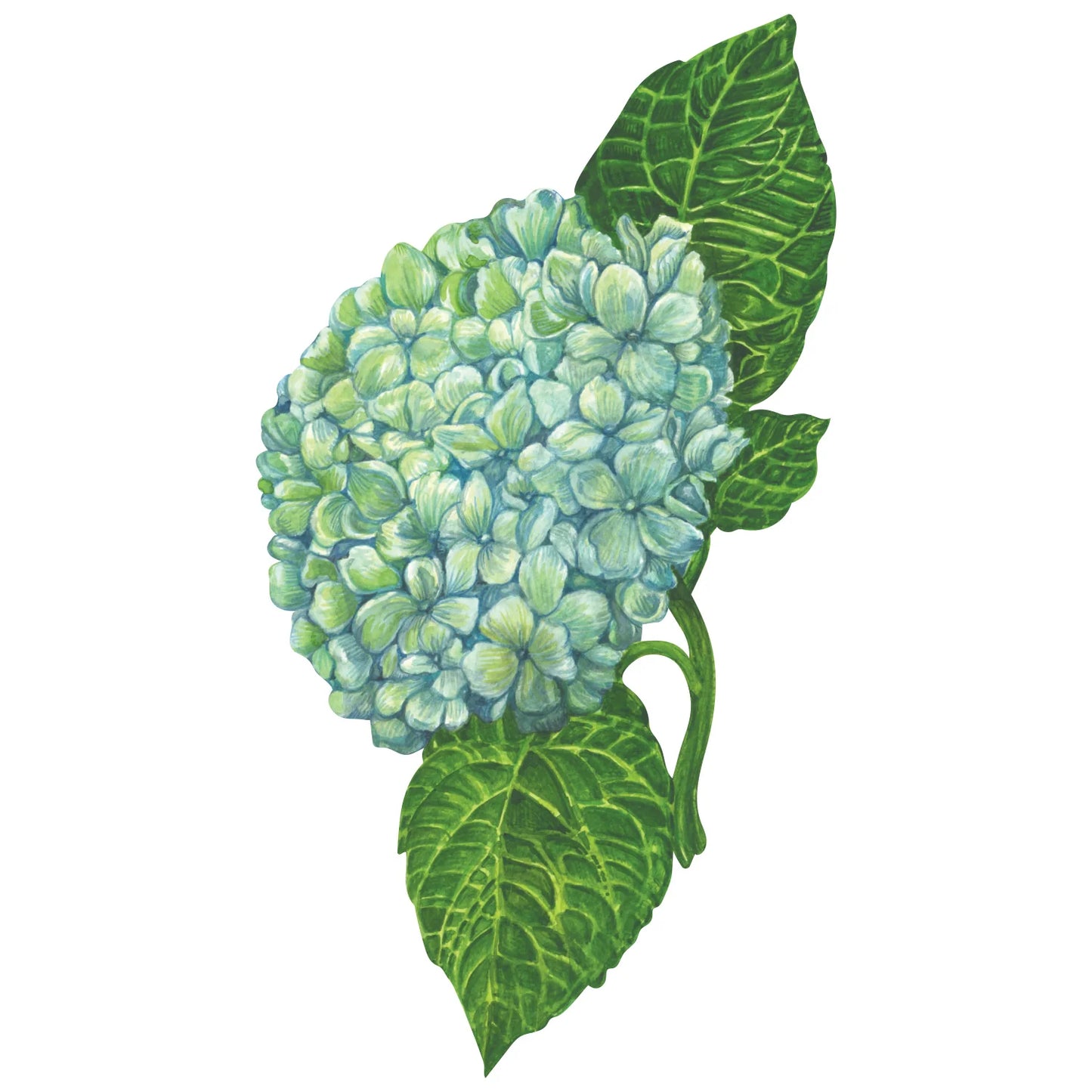 Hester and Cook Hydrangea Table Accent