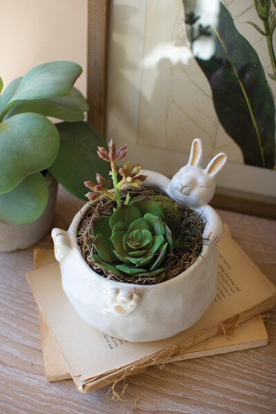 Ceramic Rabbit Vessel for Succulents