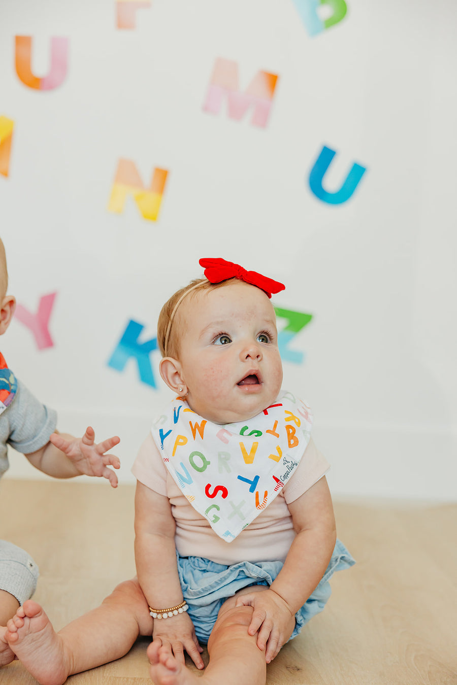 Copper Pearl Teacher Bandana Bib Set