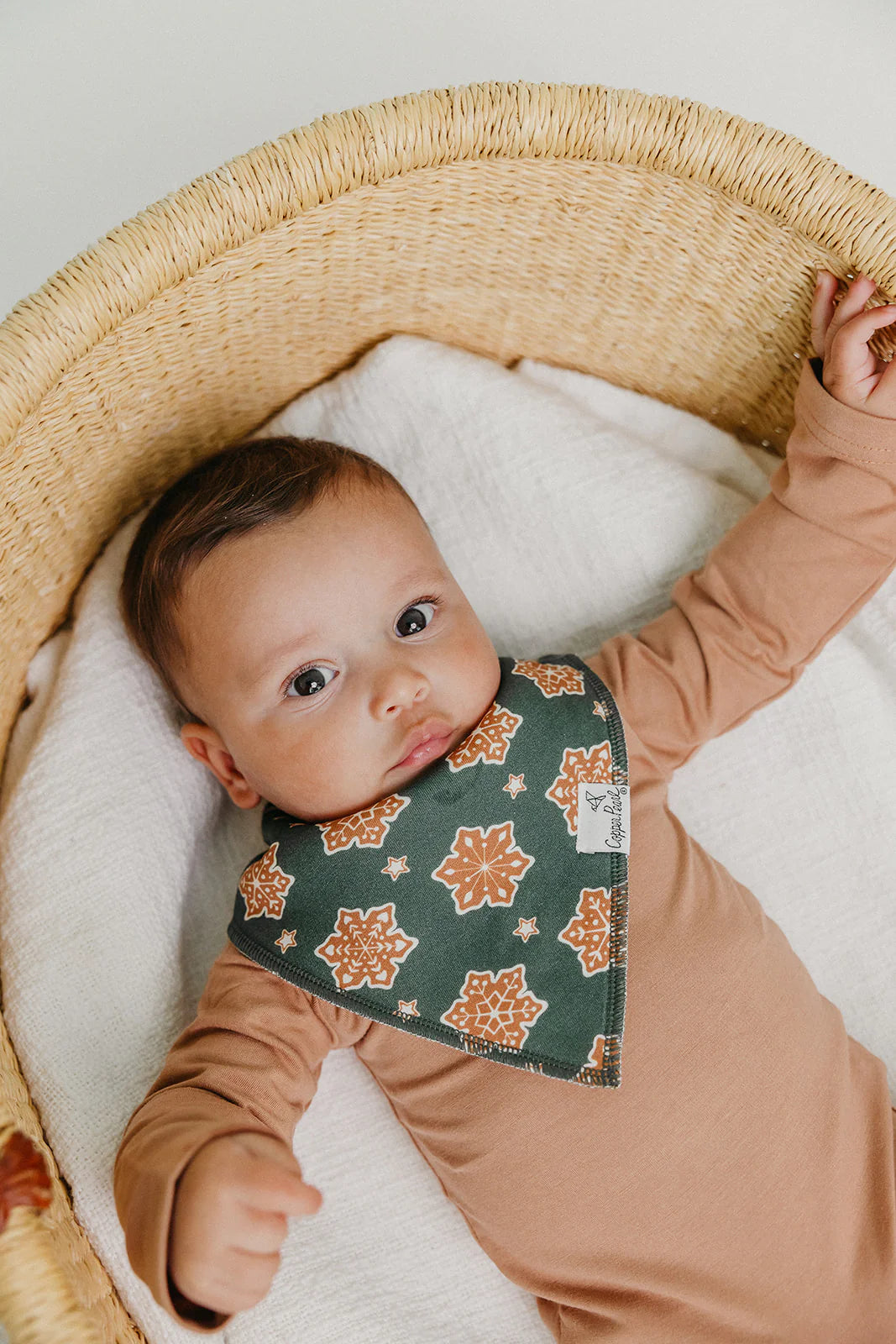 Copper Pearl Gingerbread Bandana Bib Set