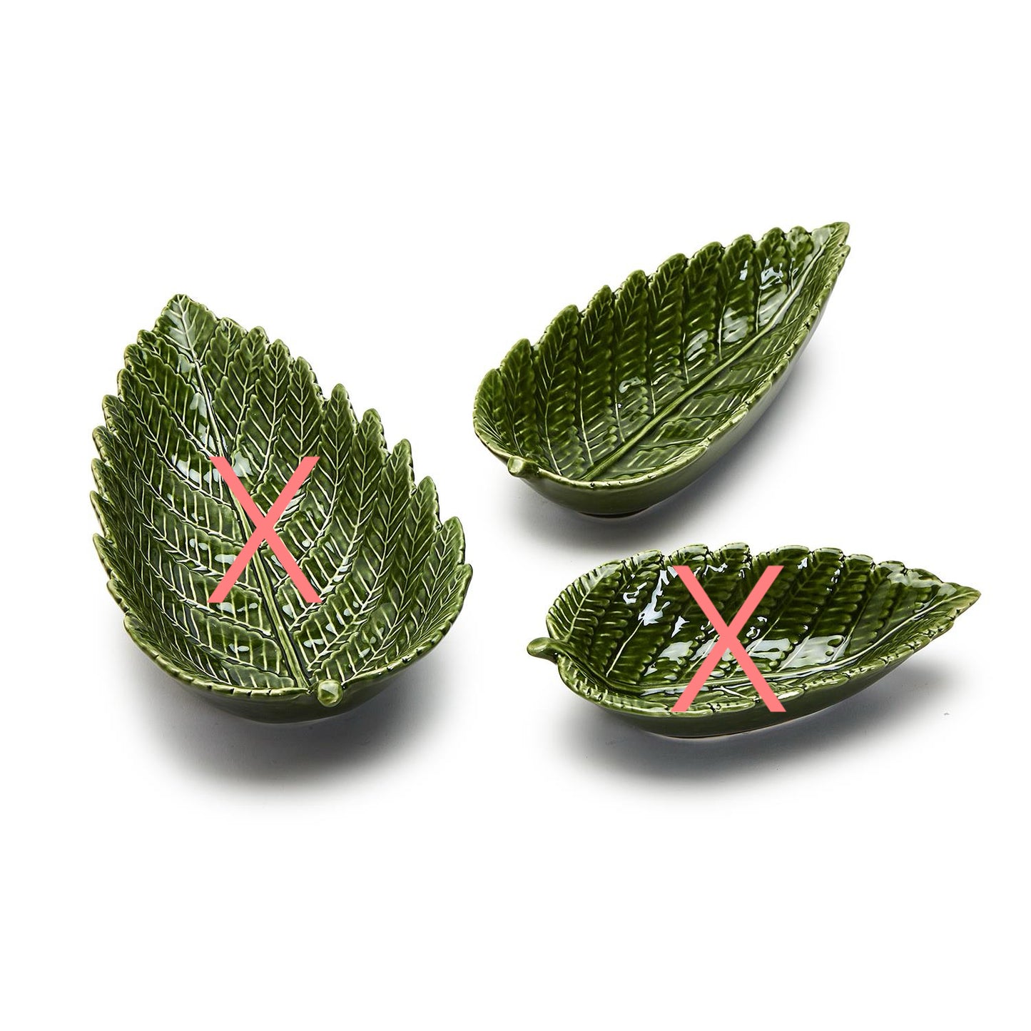 Fern Plate Medium